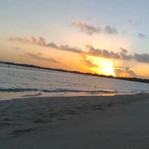 Meet your Posher, Mia